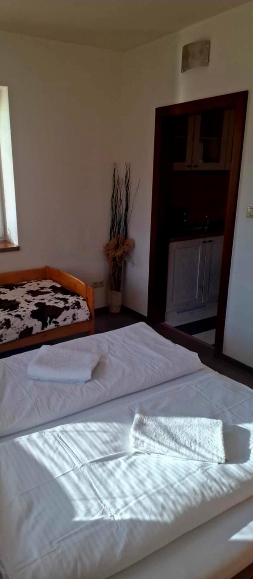 Relax Penzion U Adama Dolná Tižina المظهر الخارجي الصورة